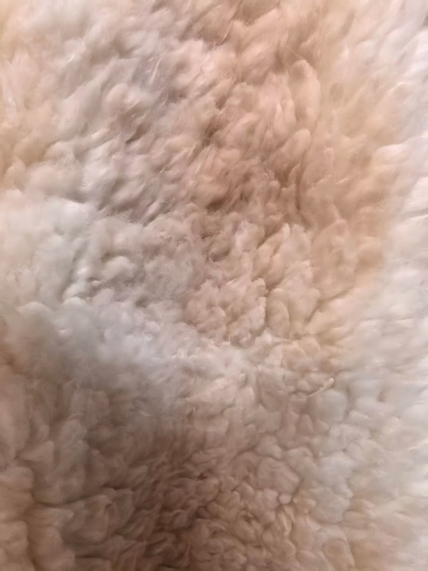 Hefei Zeroline Textiles Co.,ltd